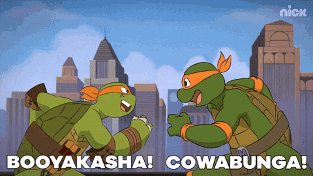 a cartoon of two teenage mutant ninja turtles fighting with the words booyakasha cowabunga below them