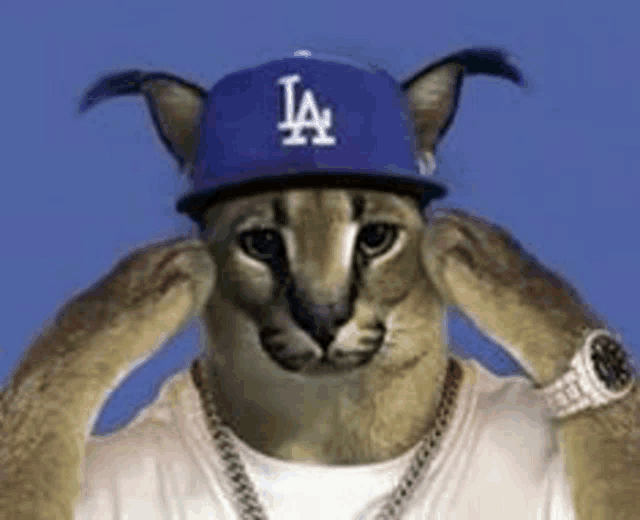 a cat wearing a la dodgers hat and a watch .