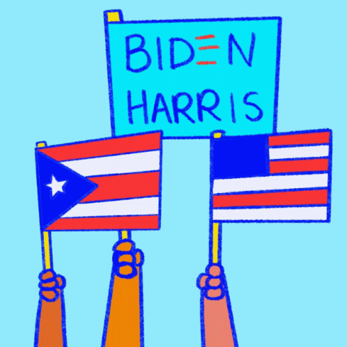 Puerto Rico Puerto Rican Flag GIF - Puerto Rico Puerto Rican Flag Go Vote GIFs