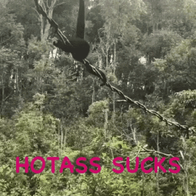 a picture of a monkey hanging from a chain with the words hot ass sucks