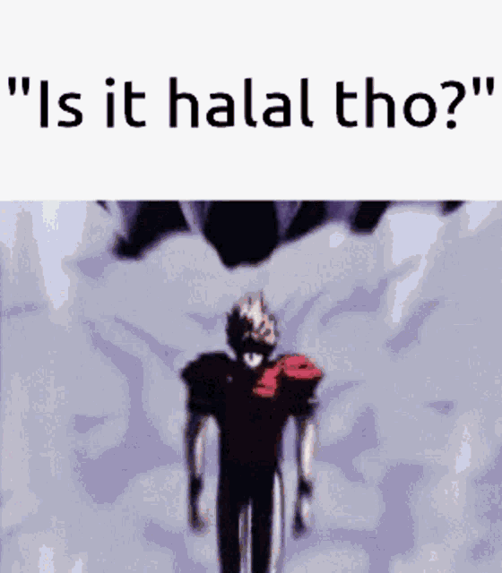 a man in a football uniform is standing in front of a cloudy sky with the words `` is it halal tho '' written on it .
