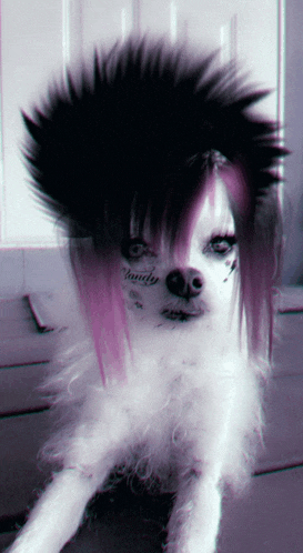 a white dog with purple hair and a tattoo on its face that says lonely