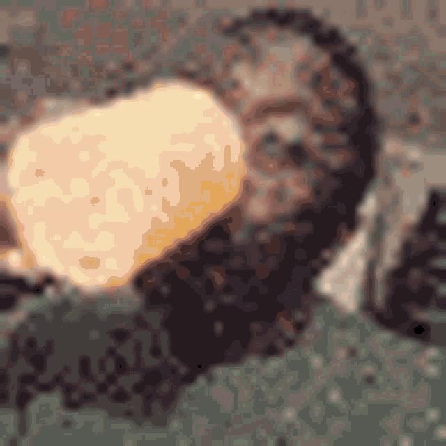 Juice Funny As Hell GIF - Juice Funny As Hell Fuck GIFs