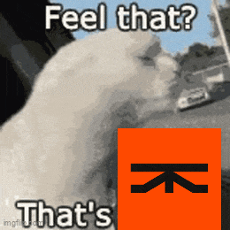 a picture of a cat with the words feel that that 's that 's