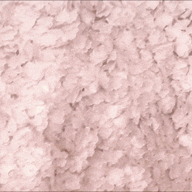 a woman is wearing a long pink dress with white petals on it