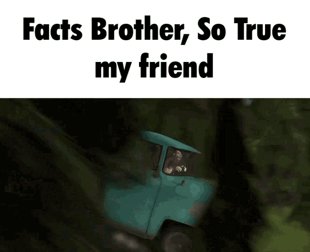 Facts Brother GIF - Facts Brother True GIFs