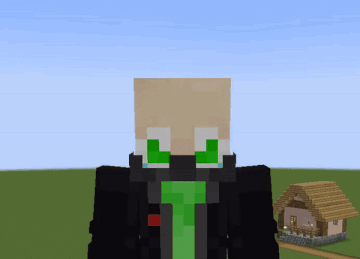 Minecraft Bald GIF