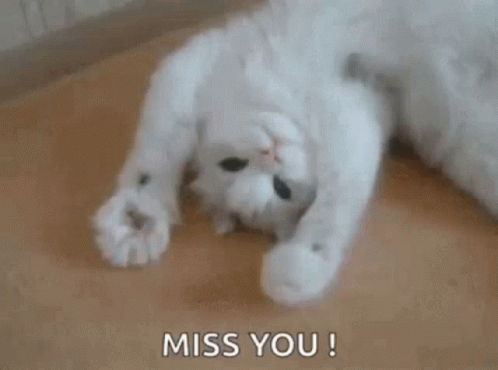 Miss You GIF - Miss You Good GIFs