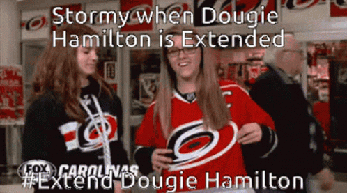 Hurricanes Fans Stormy GIF - Hurricanes Fans Stormy GIFs