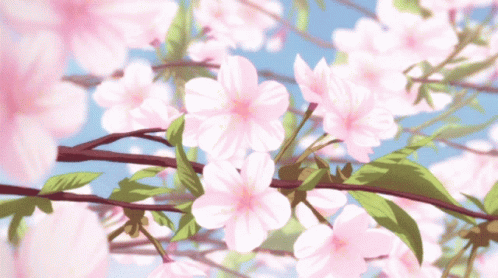 Flowers Pink GIF - Flowers Pink GIFs