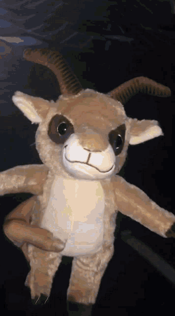 a stuffed goat with horns is being held by someone