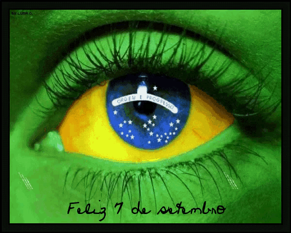 a picture of a green eye with a brazilian flag in it