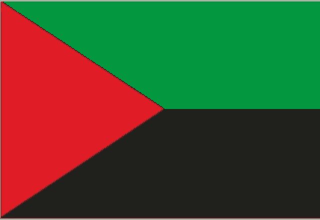 a green and red flag with a black triangle