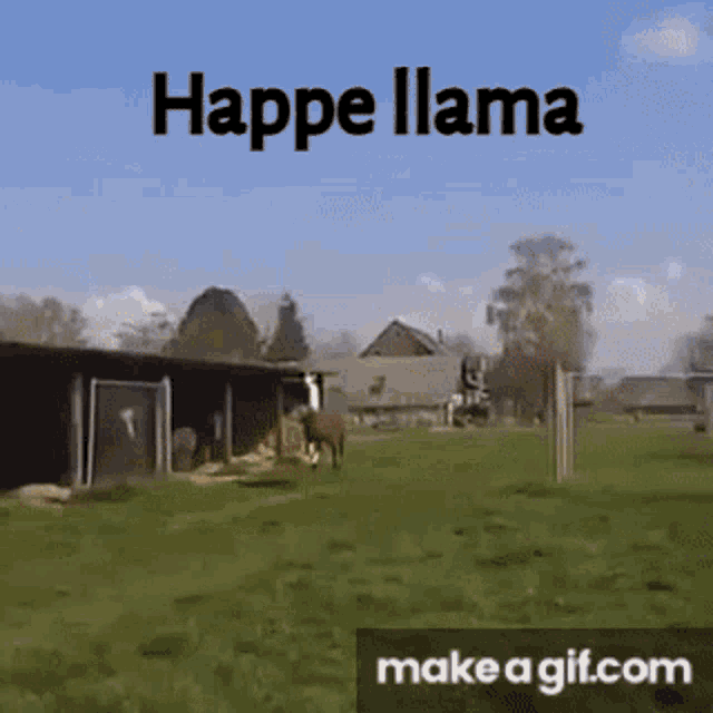 Happe Llama GIF - Happe Llama GIFs