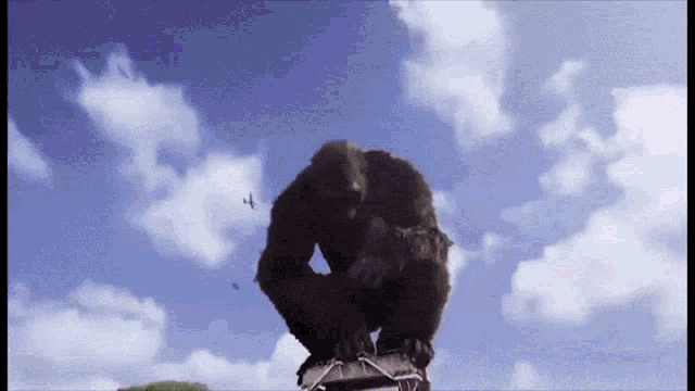 King Kong King Kong Vs Godzilla GIF - King Kong King Kong Vs Godzilla Kong Vs Godzilla GIFs