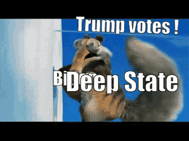 a picture of a squirrel that says trump votes