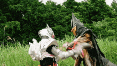 two superheros are fighting in a grassy field with trees in the background