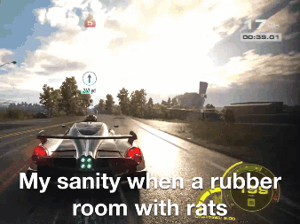 My Sanity When A Rubber Room With Rats GIF - My Sanity When A Rubber Room With Rats GIFs