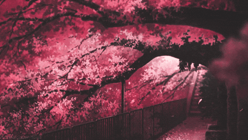 Anime Cherry Blossom GIF