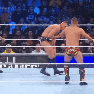two men are wrestling in a ring with the word series on the bottom
