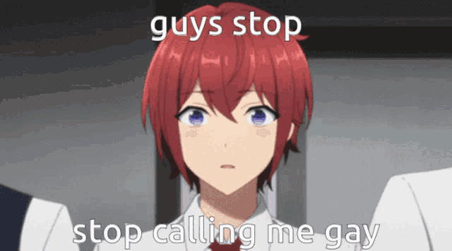a picture of a red haired anime character with the words guys stop stop calling me gay on it