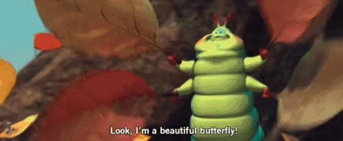 a cartoon caterpillar says look i 'm a beautiful butterfly .