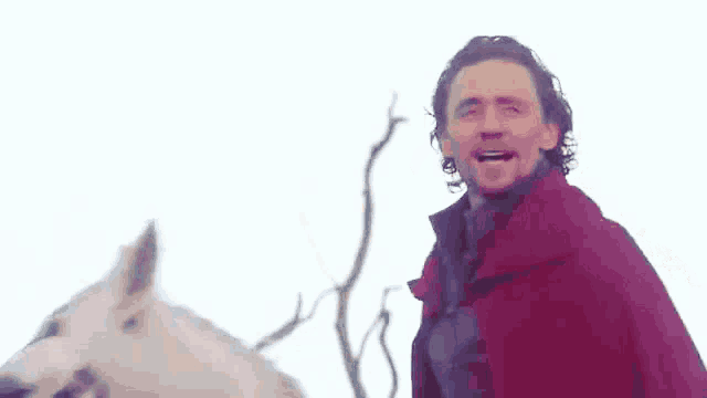 a man in a red cape riding a white horse