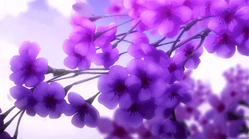 a bunch of purple flowers are hanging from a tree branch