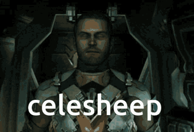 a video game character with the word celesheep on the bottom