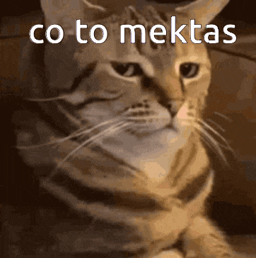 a close up of a cat with the words co to mektas below it