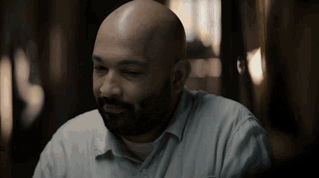 a bald man with a beard wearing a grey shirt
