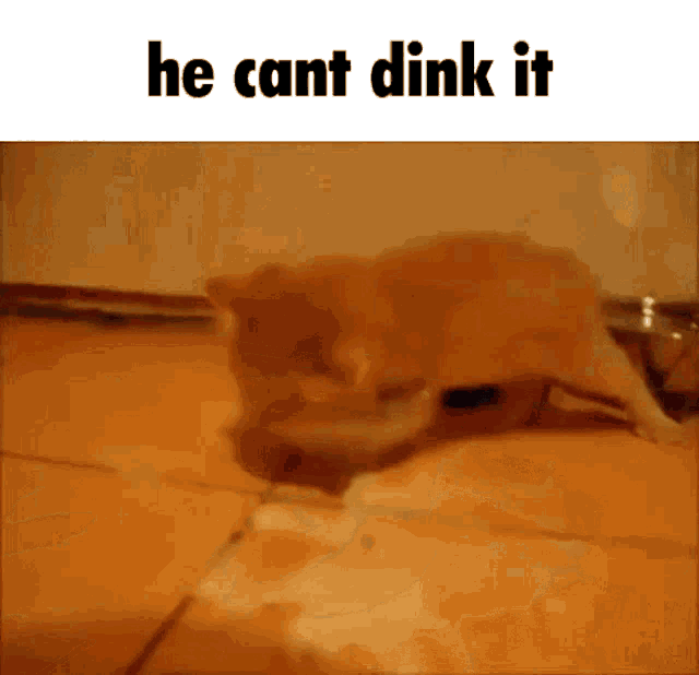 He Cant Drink It GIF