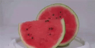 Rotten Watermelon GIF - Rotten Rotting Rotten Fruit GIFs