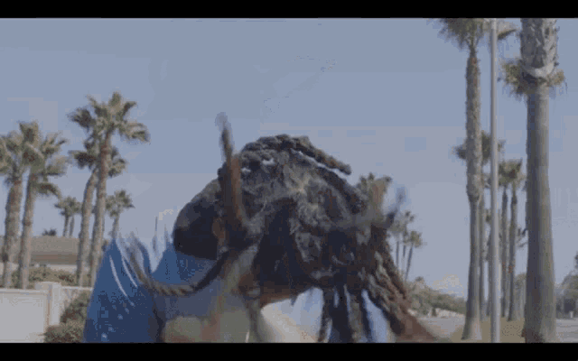 a woman with dreadlocks is standing in front of palm trees