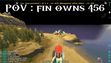 a screenshot of a video game with the words " pov fin owns 456 "