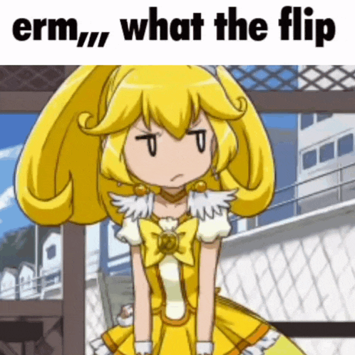 Erm What That Flip Smile Precure GIF - Erm What That Flip Smile Precure Erm GIFs