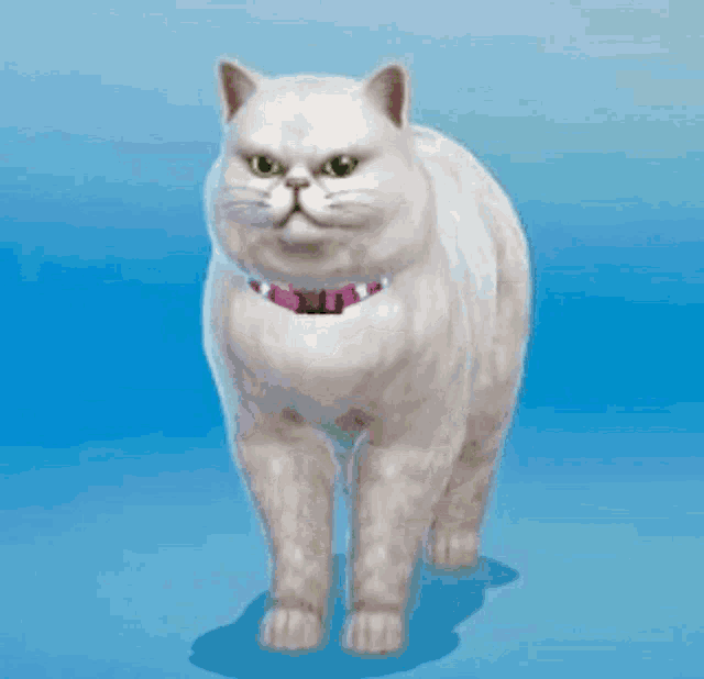 a white cat with green eyes and a pink collar is looking at the camera