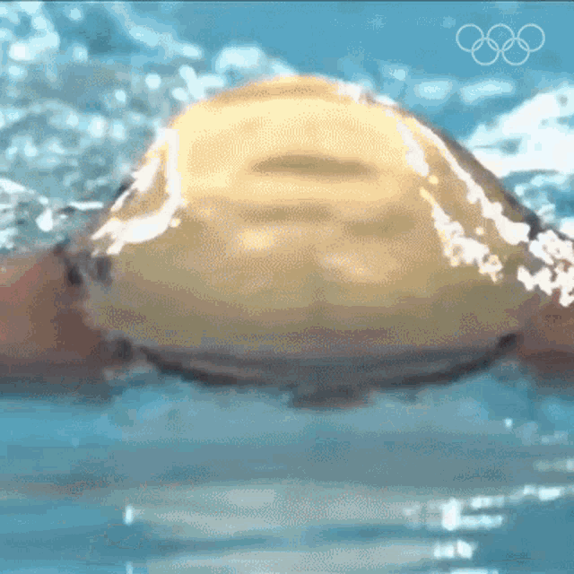 Swimmer Olympics GIF - Swimmer Olympics Deep Breath GIFs