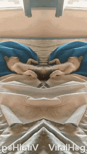 Cat Nap Chilling GIF - Cat Nap Chilling Resting GIFs