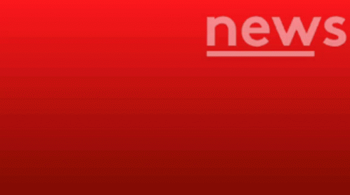Newsroombn Newsroom Breaking News GIF