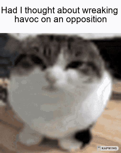 Had I Thought About Wreaking Havoc On An Opposition Enemy GIF - Had I Thought About Wreaking Havoc On An Opposition Enemy GIFs