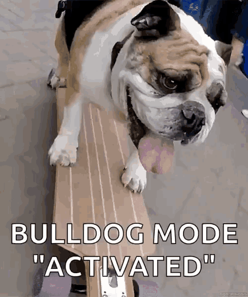 a bulldog is on a skateboard with the caption " bulldog mode " activated