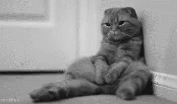 Tired Of Waiting GIF - Cat Kitten Cats GIFs