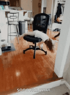 a dog laying on top of an office chair with the words sooo far away written on the bottom