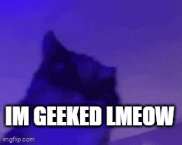 a picture of a cat with the words i 'm geeked lmeow on it