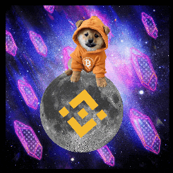 a dog wearing a hoodie with the letter b on it is sitting on the moon