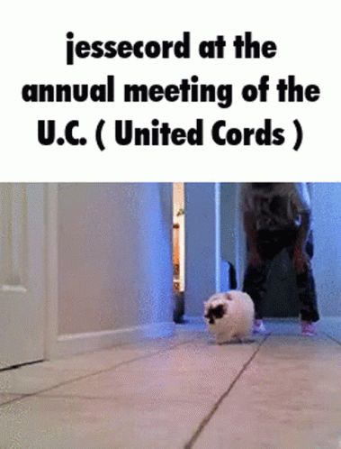 United Cords Alliegience GIF - United Cords Alliegience Jesse Cord GIFs
