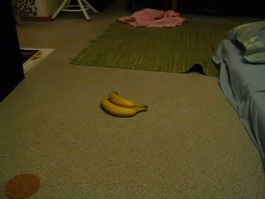 Banana Swipe GIF - Banana Swipe Cat GIFs