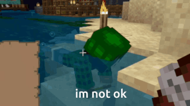 a turtle in a video game with the words im not ok below it