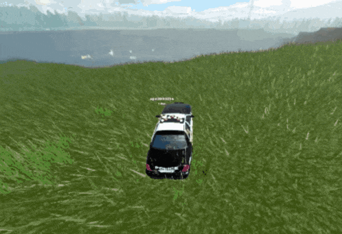 a black and white police car is driving through a grassy field with a lake in the background ..